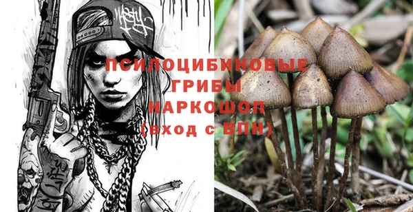 каннабис Гусиноозёрск