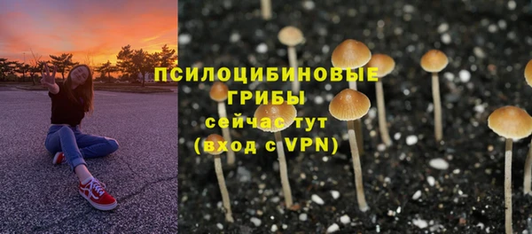 каннабис Гусиноозёрск