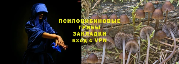 дживик Щёлкино