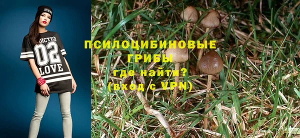 jwh Гусев